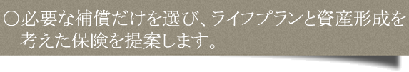 ご加入プランの内容